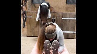 funny cute hors