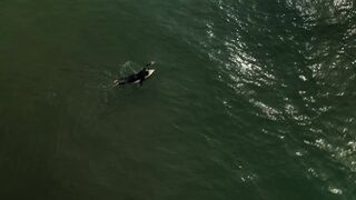 MAN PADDLING over the waves#happytime