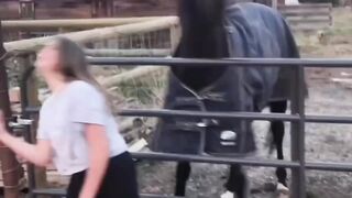 Cute Girl And Horse