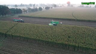 corn silage ! class jaguar 980_x6 fendt trinciato 2022/gruppo pea