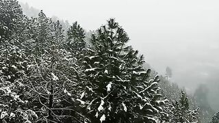 Snowfall Video
