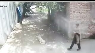 Funny video