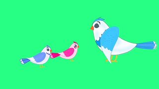 Bird Cartoon