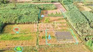 Digital farming and virtual reality technology