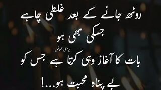 Urdu quotes