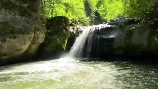 Beautiful view of nature 21