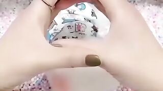 Cute Puppy