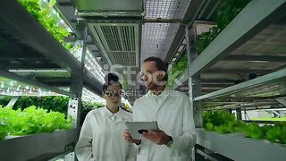 Modern farmers of the future monitor the growth of plants and grow pure non-modified natural products in vertical farms with hydroponics