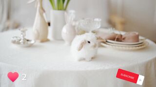 Adorable bunny ???? with cute little girl
