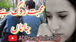 Mohabbat Rog Hai Janaa
