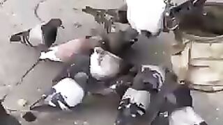 ALLAH O AKBER