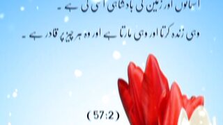 Best Islamic Whatsapp Status