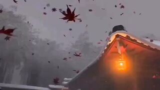 Beautiful view of nature 29