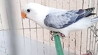 super se bhi uper