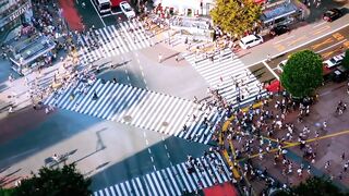 WORLD ORDER "HAVE A NICE DAY " Shibuya Ver.