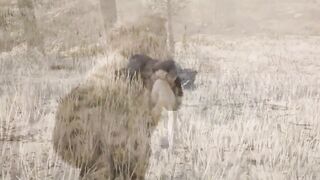 Lion Games Animal Simulator 3D
