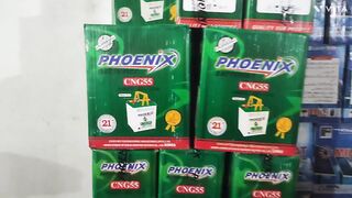 Phoenix Battery prices 2023