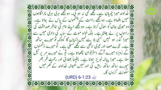Znoor 23