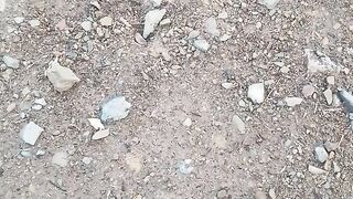 Short viral