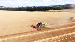 class lexien 795 tt grain harvester