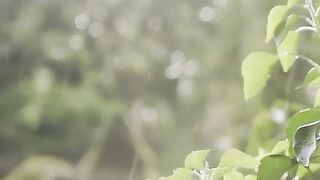 Nature of rain