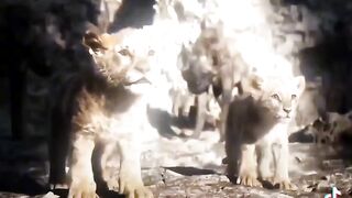Loin Atittude viral video ????????