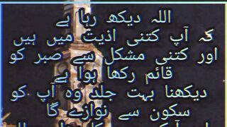 islami videos love of islami
