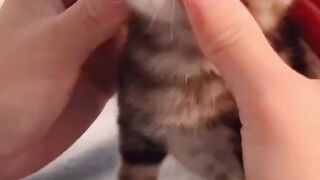 CUTENESS OVERLOAD ????❤️
