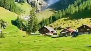 Beautiful view of nature 44