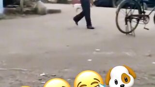 DOg Funny Vedio