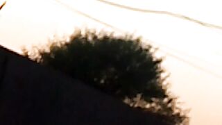 Nature View Osam scene