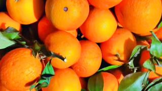 Special Orange Khanpur special