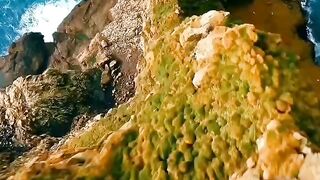 Beautiful view of nature 45