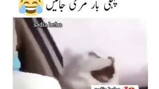 larkiyan jb phli bar maree jaatein hain tbbb.........