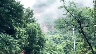 Beautiful view of nature 50