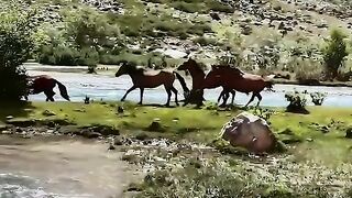 Beautiful view of nature 52