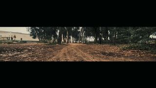 A Cinematic video of forest and nature