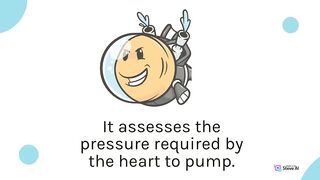Blood pressure Measurement - How to check Blood pressure Manually