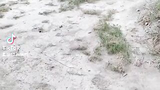 Ap axa kr sakte ho inka mustaqbil