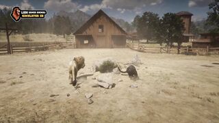 Lion Games Animal Simulator 3D