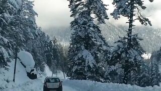 Beautiful view of nature 54