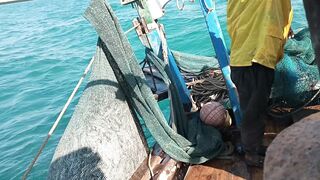 fish net hunting how