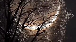 Beautiful view of nature 55