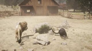 Lion Games Animal Simulator 3D