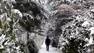 Beautiful view of nature 57
