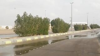 Nadec