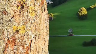 Beautiful nature ????