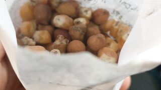 Pathan ki makai chana