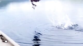 funny video short 54
