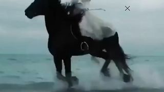 My second video of animal ????
